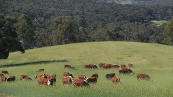 Binda farm Maidstone Downs listed