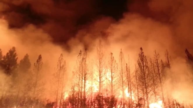 How do bushfires impact property prices: Realestate.com.au's Nerida Conisbee