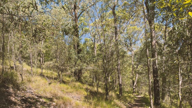 Rural property values rise in country NSW: HTW