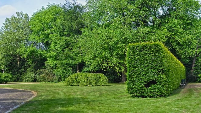Our land abounds in nature strips – surely we can do more than mow a third of urban green space