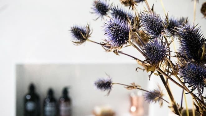Dead flowers debate on The Block Glasshouse, but ennui ensues after ensuite reviews