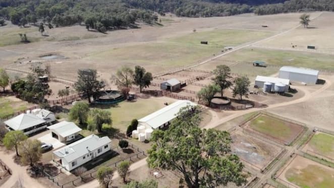 Bylong Park, Upper Hunter brood mare farm listed