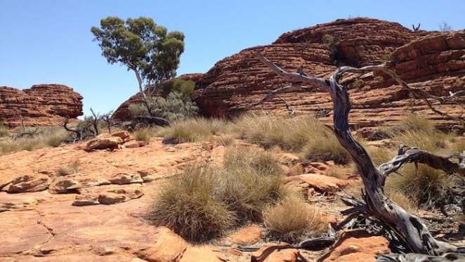 Protecting the places we love: here are seven ways our nature laws must be fixed