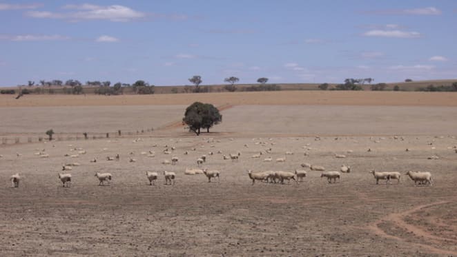 A national drought policy should be an easy, bipartisan fix. So why has it taken so long to enact a new one?