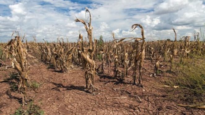 Farmers offered banking assistance during drought