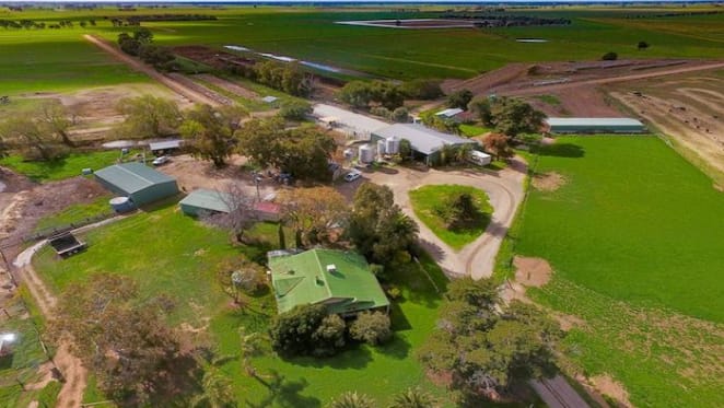 Echuca and Deniliquin rural markets remains steady: HTW rural