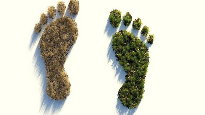 What is ‘ecological economics’ and why do we need to talk about it?