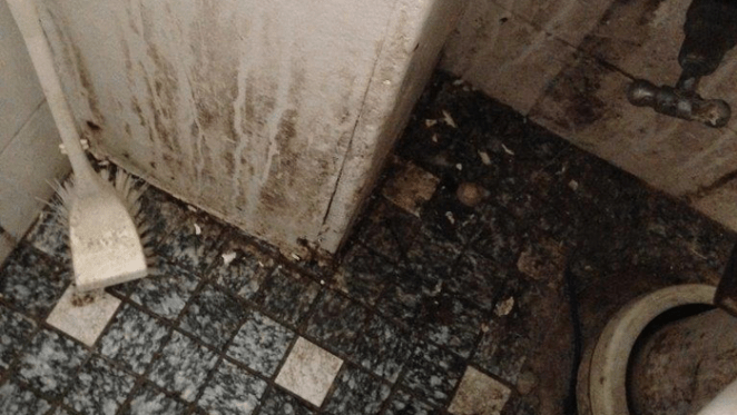 Chilly house? Mouldy rooms? Here’s how to improve low-income renters’ access to decent housing