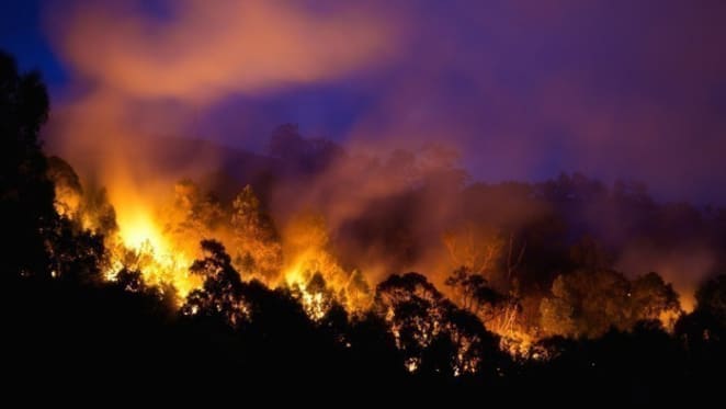 Nearly 80% of Australians have been affected by bushfires in some way