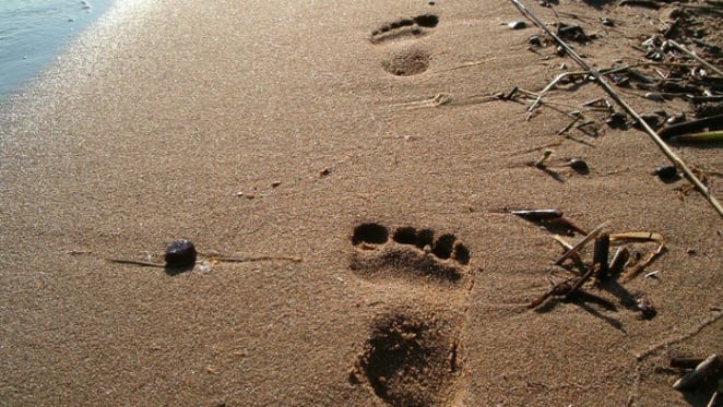 Giant steps needed to build up northern Australia’s potential