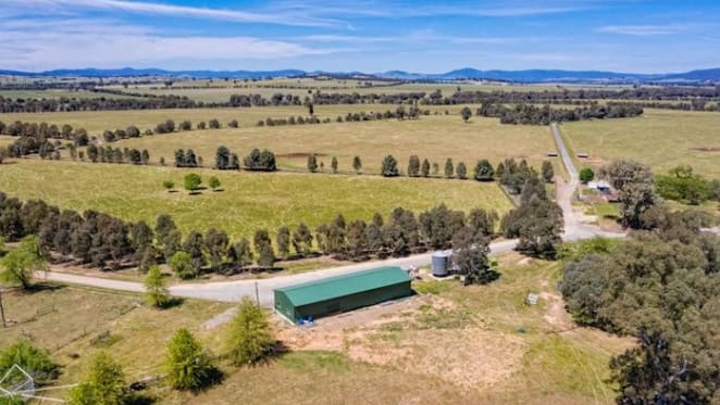Drought impact on Central and Southern NSW property market has been limited: HTW rural