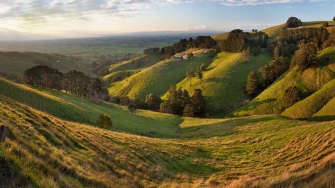 Gippsland's proximity to Melbourne helping land prices, but still affordable: HTW