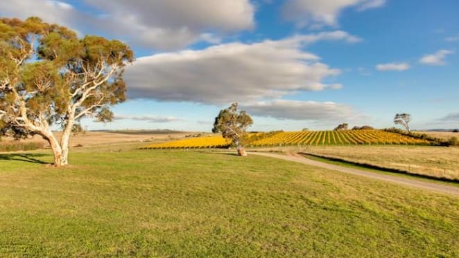 Goulburn winery listed for $2.2 million