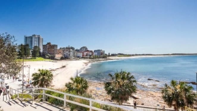 Shire tech head David Greiner secures Cronulla beachfront blocks