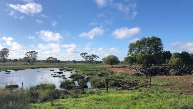 Barnaby Joyce lists 1000 ha Gwabegar property, Yarrandinbine