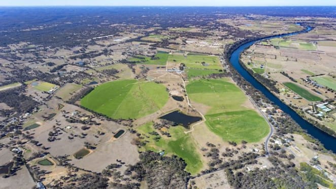 Hambledon Park, Sydney's $140 million dairy farm, for sale as housing site