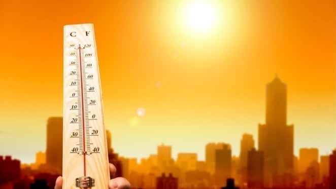 Melbourne and Adelaide have been Australia’s most vulnerable major cities to killer heatwaves
