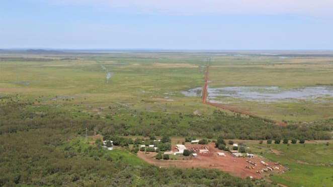 Cattle in top end comeback? NT's Legune Station with 32,000 Brahman listed for sale