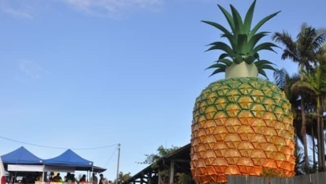 Big Pineapple ploughing begins as plans bear fruit