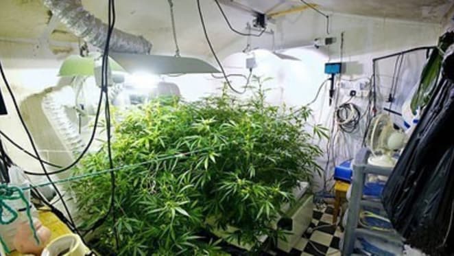 Drug labs: landlords exposed if tenants undertaking criminal activity