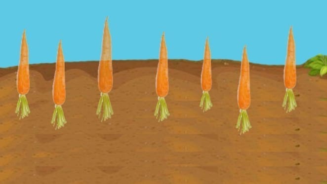 Victorian government to end $7,000 FHOG: the state-by-state deadlines you need to know