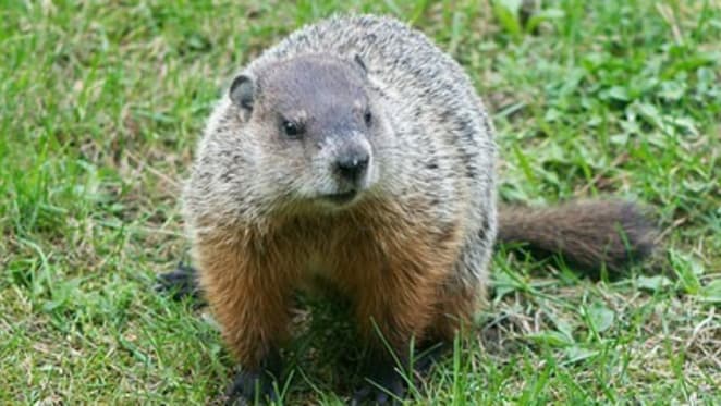 Property Groundhog Day looks set to continue, but there could be tumult ahead: Catherine Cashmore