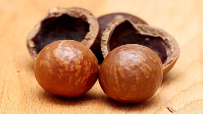 Australian macadamia industry sees fastest growth since the 1990's: HTW