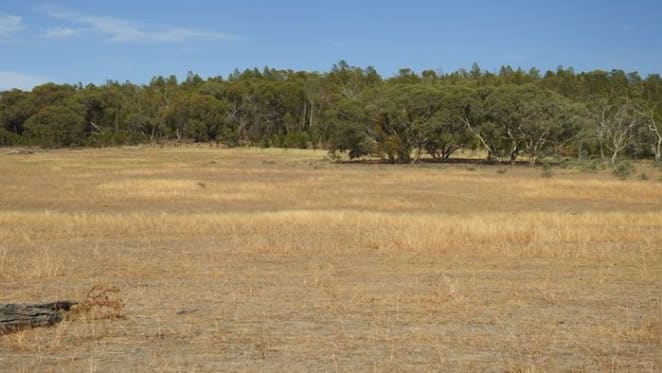 Demand for Central Tablelands rural properties remains strong: HTW rural
