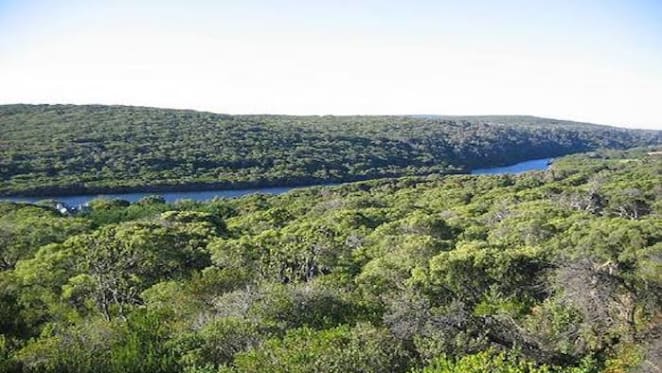 Southwest Western Australia sees little capital growth in the short stay market: HTW residential
