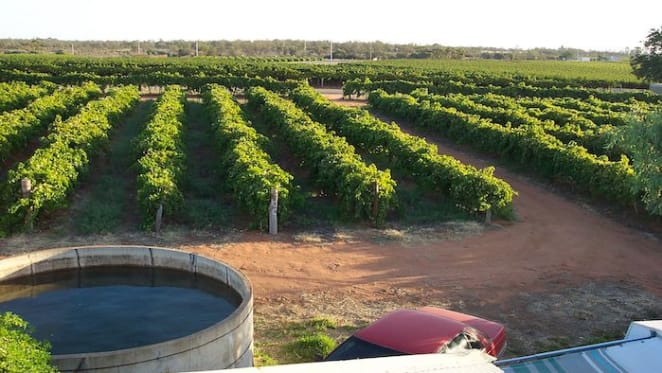 Mildura region holding value thanks to resilient agricultural sector: HTW rural