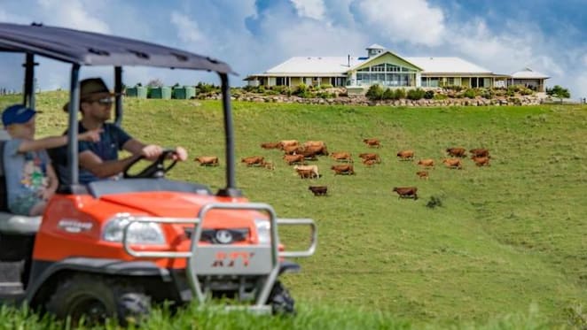 Mount Mee cattle farm Haranel listed for sale