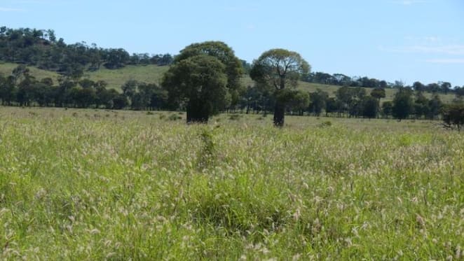 Speculative buyers snapping up Paroo Shire land for carbon projects: HTW