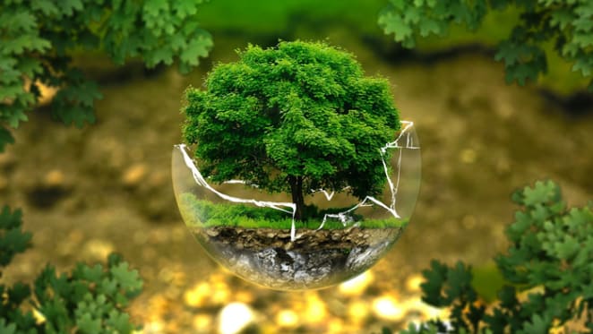 Around the world, environmental laws are under attack in all sorts of way: Bill Laurance