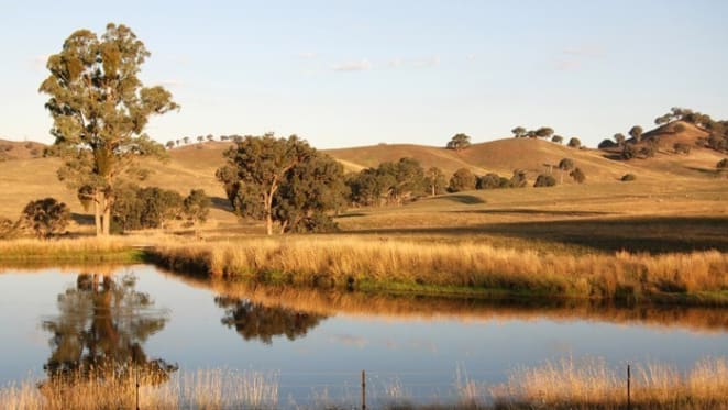 ASIC moves on Hermitage Bendigo land banking scheme administrators