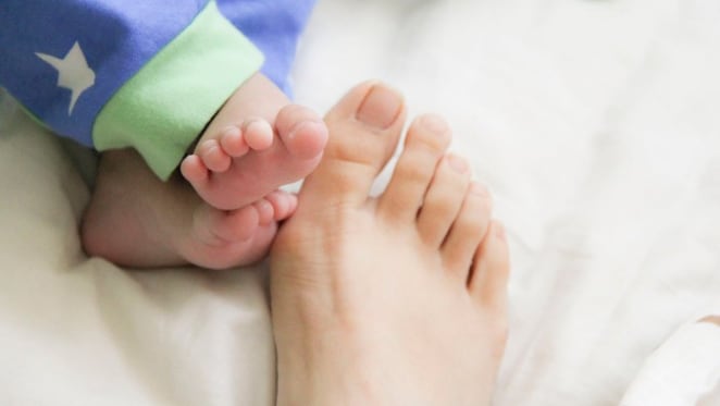 What will Abbott’s scaled-back paid parental leave scheme look like?