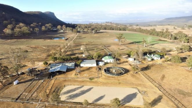 Vrisakis family list Phalaris Stud at Rylstone