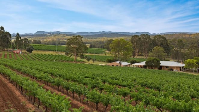 Duck Hollow vineyard in Hunter Valley sells