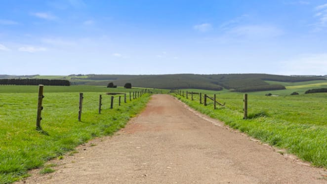 Murray Goulburn milk supplier farms at Port Campbell set for auction