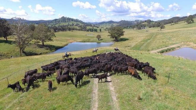 New England farm, Prestwick sold pre-auction