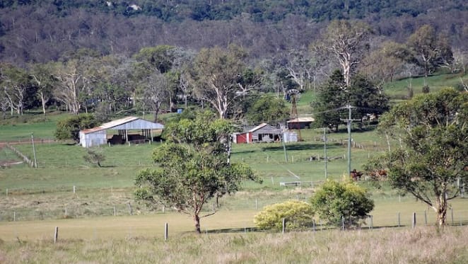 Queensland north and north west markets look towards promising future: HTW rural