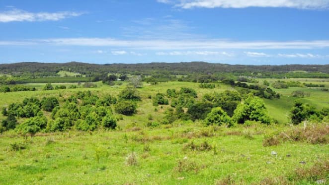 Pat Rafter buys Byron Bay paddock