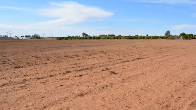 Mildura rural values holding despite lower sales volume: HTW