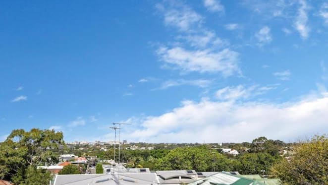 Trees can add $50,000 value to a Sydney house, so you might want to put down that chainsaw