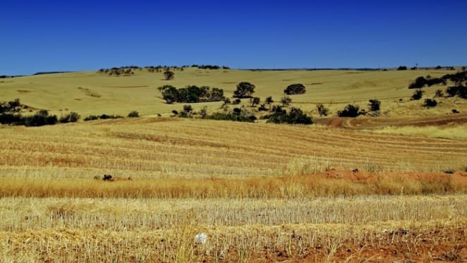 Australia urgently needs real sustainable agriculture policy