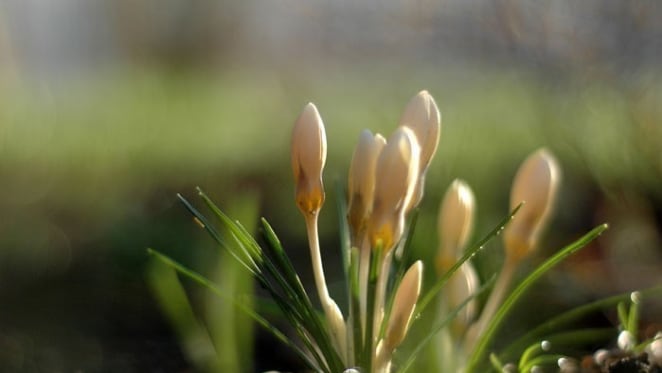 Three familiar property heartaches and how to avoid them