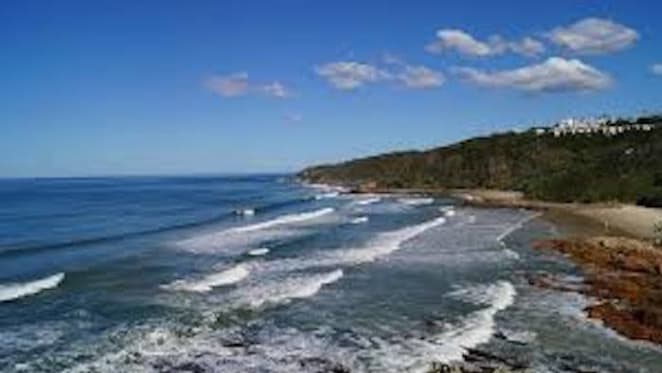 Sunshine Coast home to ageing population; Herron Todd White