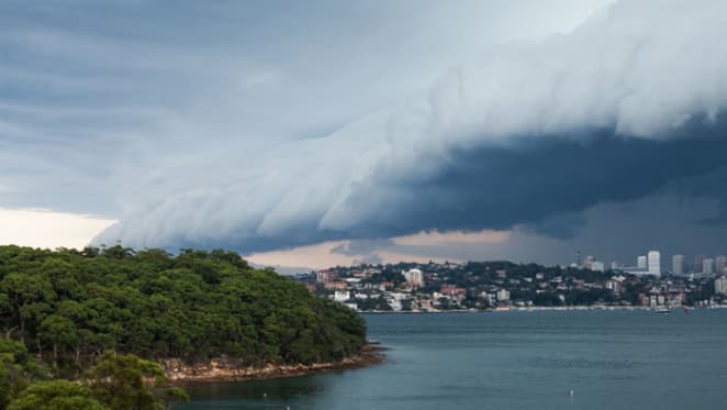 Get set for the four elements of the perfect property storm to be struck down: Hotspotting's Terry Ryder