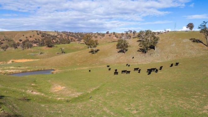Bannaby Station and Cross Station in Taralgal, NSW set to go under the hammer