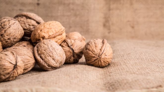 Australian walnut industry experiences growth: HTW