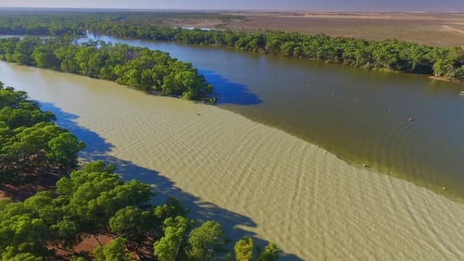 Morrison government plan to scrap water buybacks will hurt taxpayers and the environment